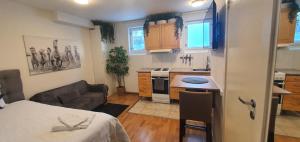 Studio apartment near metro and forest!