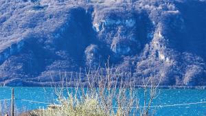 L'ulivo Apartment immerso nella tranquillità