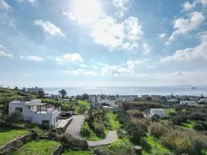 White Home Pigeons - Ktikádhos