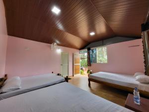 CoffeeINN Homestay - Water Activities, Jeep Ride, Home Food