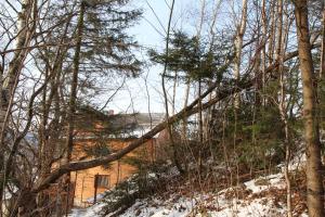 Gutsulochka Apartment