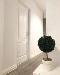 Joy City Stay Victoriei 7E-30 2