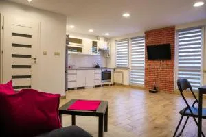 Apartament dla pracowników Katowice - 米科武夫