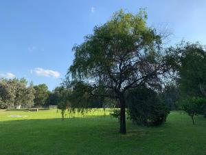 La Calma Casa Quinta - PISCINA, PARRILLA, WIFI -