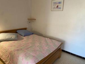Appartement cosy 1 pièce, terrasse, animaux admis à Balaruc-les-Bains - FR-1-680-3