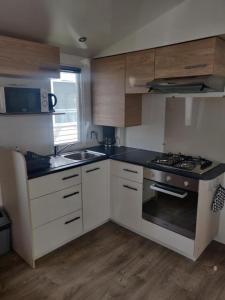 Campings Super mobil-home aux Sables du Midi : Mobile Home