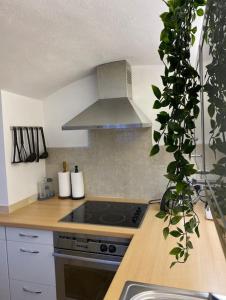 Spacious flat in the most desirable area of London