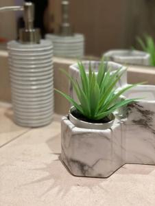 Spacious flat in the most desirable area of London