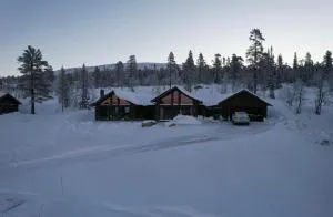 Luxurious Mountain Lodge - Ljørdal