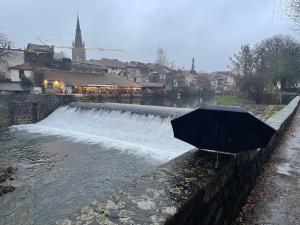 Appartements Les Jardins du Pont Rouge - Cosy et Calme : photos des chambres