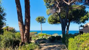 Appartement T2 Solane 35 LUMIO