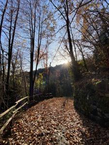 Cà dellAgrifoglio