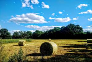 Lillibelles lodge,Oak tree farm