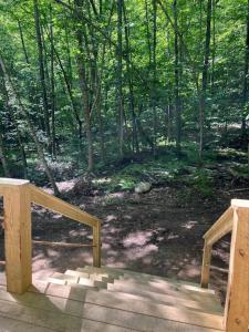 Cabin in Maine Woods-The Bogey