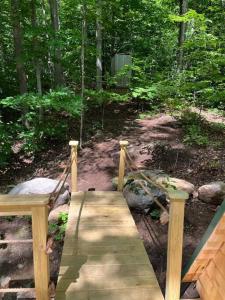 Cabin in Maine Woods-The Bogey