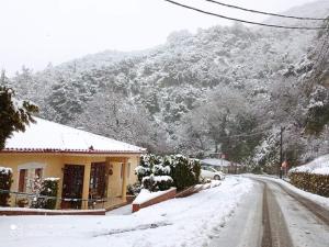 Archontiko tou Ziaka