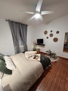 Appartements Chez Michele et Philippe : photos des chambres
