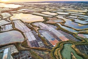 Chalets Cottage La Petite Bauloise - Piscine sous dome - Parking : photos des chambres