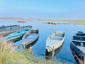 Chalets Cottage La Petite Bauloise - Piscine sous dome - Parking : photos des chambres