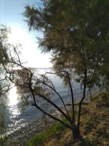 Mare nostrum 2 - Alykes Zakynthou