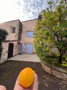 Villa provençale calme avec piscine chauffée 6 ch