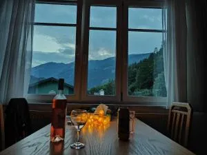 Apartment Mölltaler Gletscher 2 - Ausserfragant