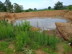 Tequex - Texcoco de Mora