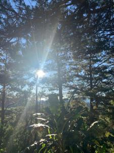 Joann Sophia Transient house Marcos highway