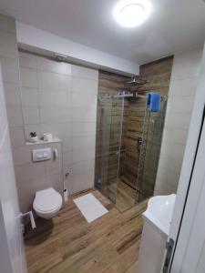 Apartman Savić