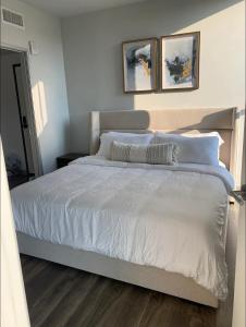 Modern 2-Bedroom Apartment in Little Italy