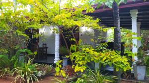 Yashis Place Sigiriya