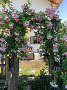 Lohei - Chalets im Chiemgau