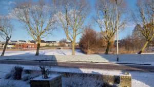 Appartement Mijn Ouders Bed en Breakfast Emmeloord