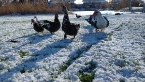 Appartement Mijn Ouders Bed en Breakfast Emmeloord