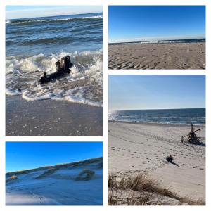 Swojskie Chatki - Marynarska Chatka