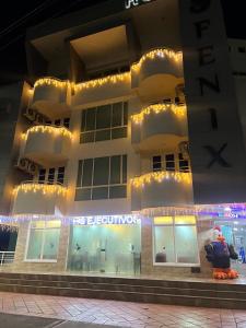 Hotel Fenix