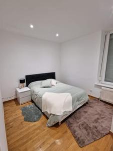 Appartements appartement entier sur Reims - 4 Voyageurs : photos des chambres