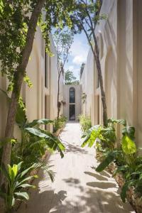 NewPrivate pool.200mb.#1 rooftop