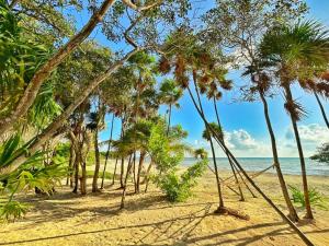 Beachfront luxury glamping