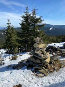 Apartment Snow & Spa Czarna Góra Resort