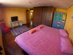 Arequipay Hostel