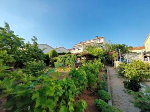 Apartments with a parking space Barbat, Rab - 22217 