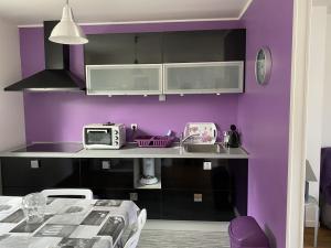 T2 confortable avec WIFI, au centre de La Roche-Posay, à proximité des Thermes et parking gratuit - FR-1-541-93