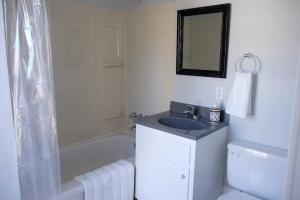 Sunny & Historic Apt #3