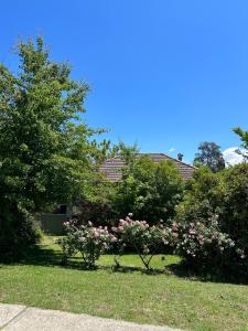 105B Mitre st Studio Apartment