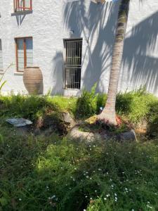 Little fern self catering