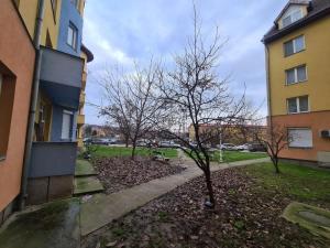 Apartament primitor si convenabil pentru buzunarul tău
