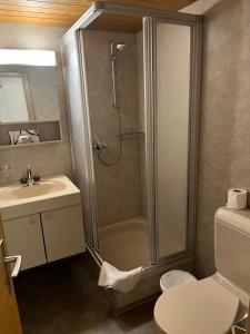 Double Room with Mountain View room in Historic Hotel Steinbock