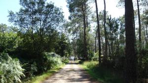 Appartements Gite Kerwood sud Morbihan : photos des chambres