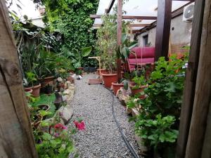 Dimora Bed and Breakfast img17